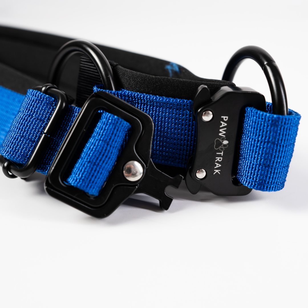 PawTrak Heavy-Duty Dog Collar