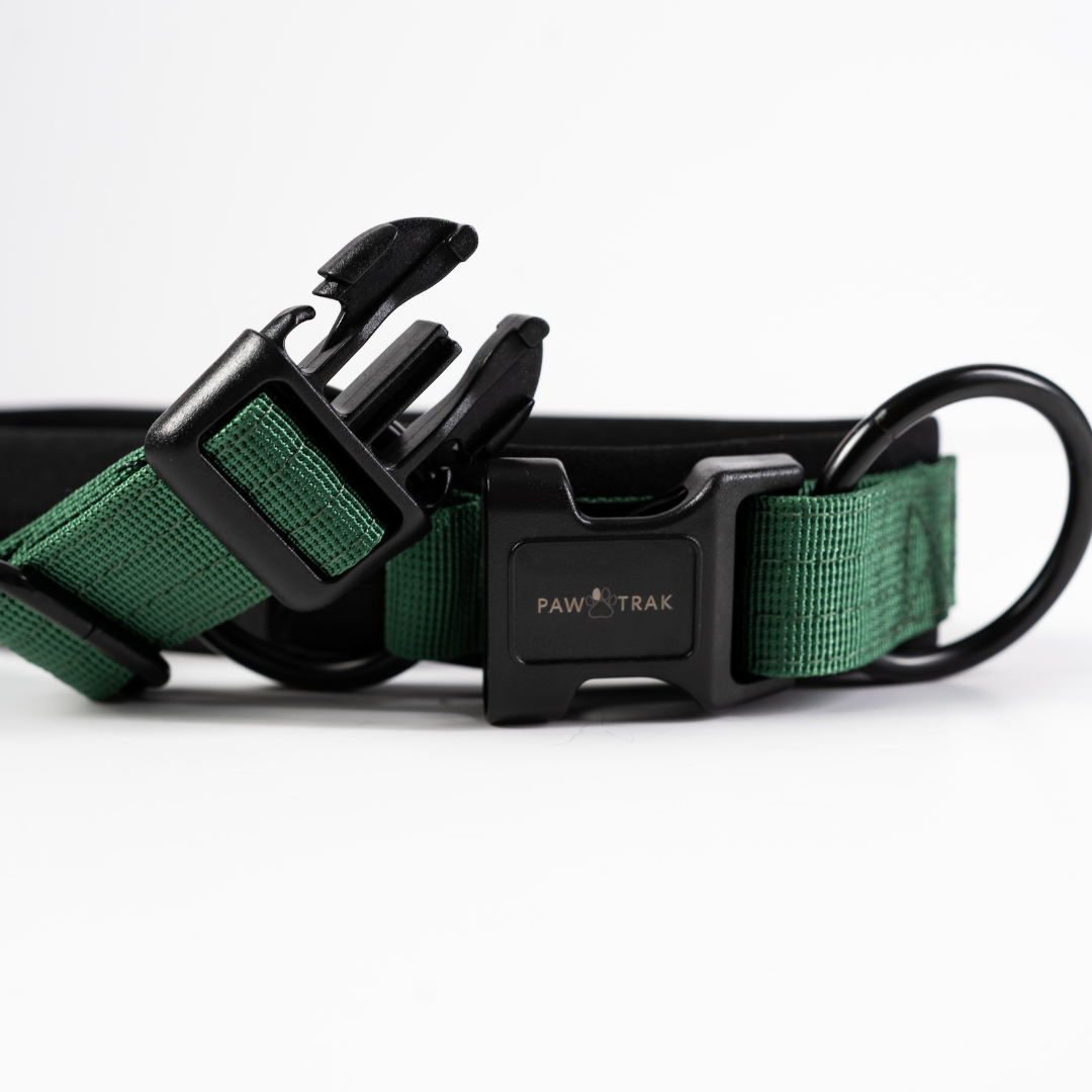 PawTrak Lightweight Dog Collar